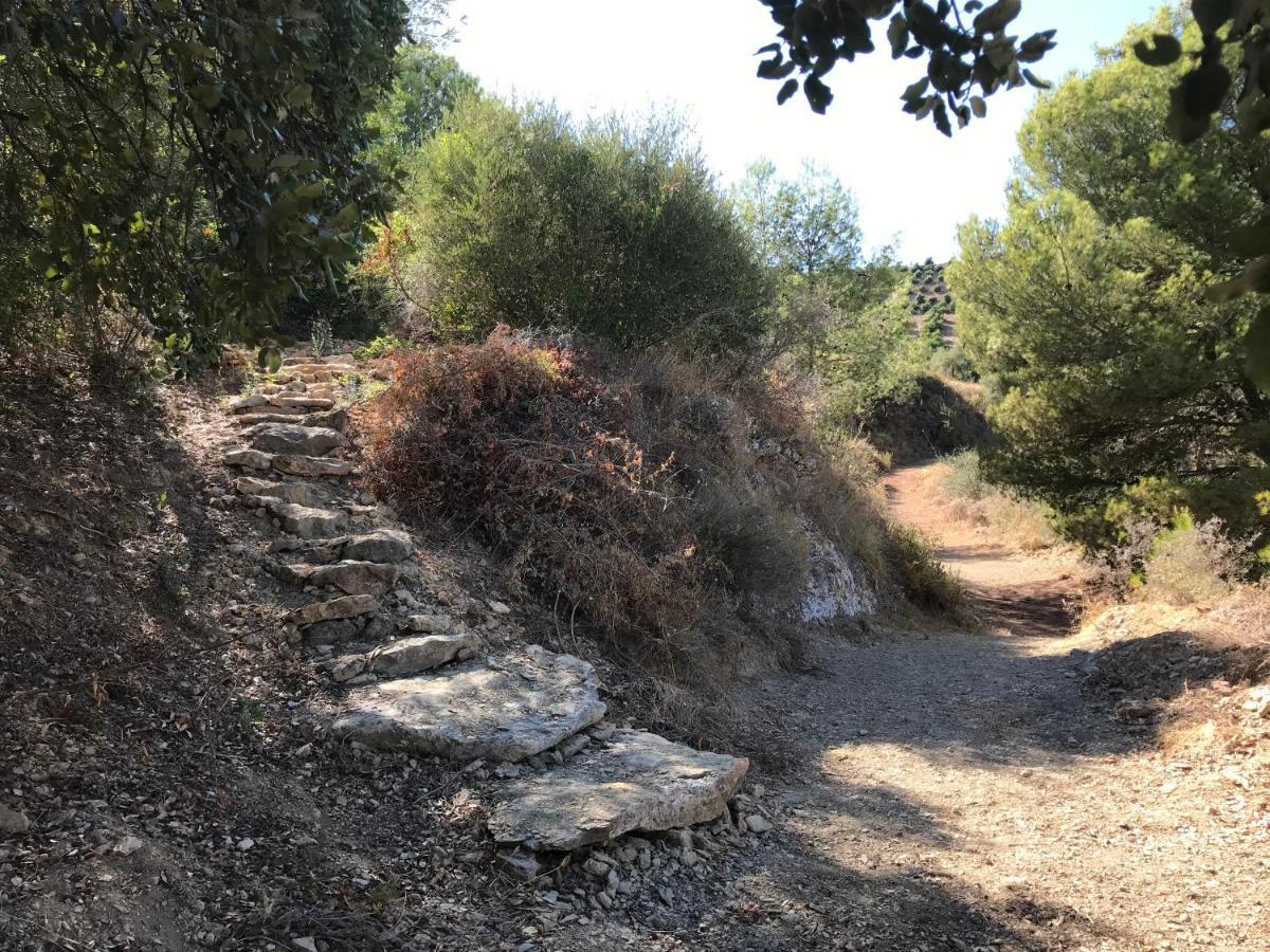 מאלגה Studio Views Apartment, Cortijo Fruitful Hills מראה חיצוני תמונה