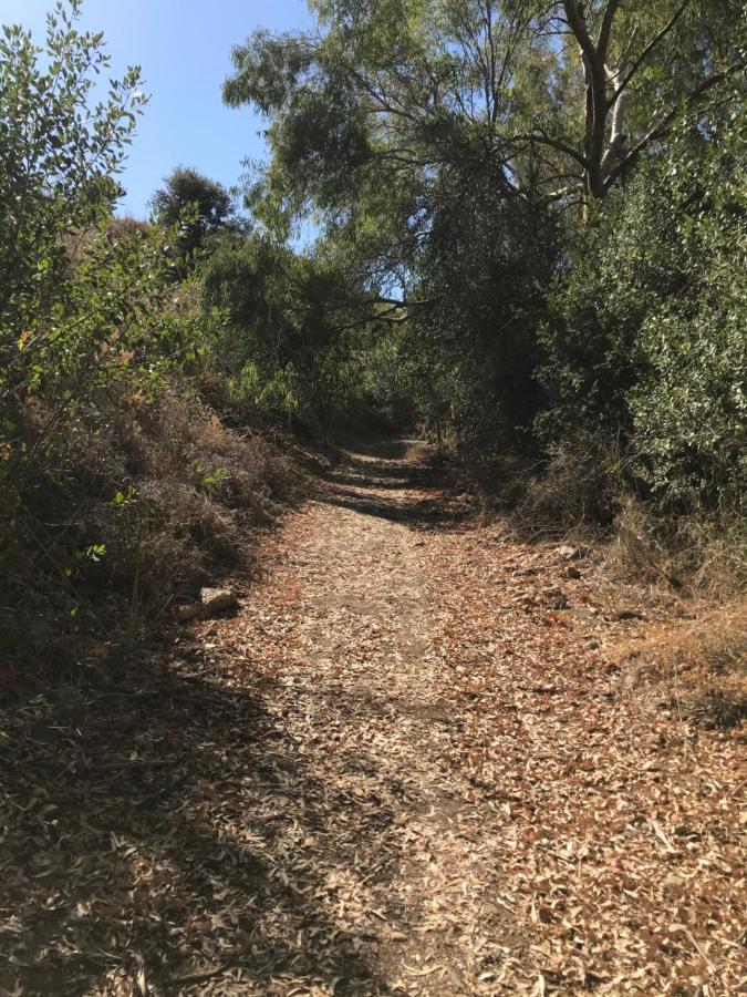 מאלגה Studio Views Apartment, Cortijo Fruitful Hills מראה חיצוני תמונה