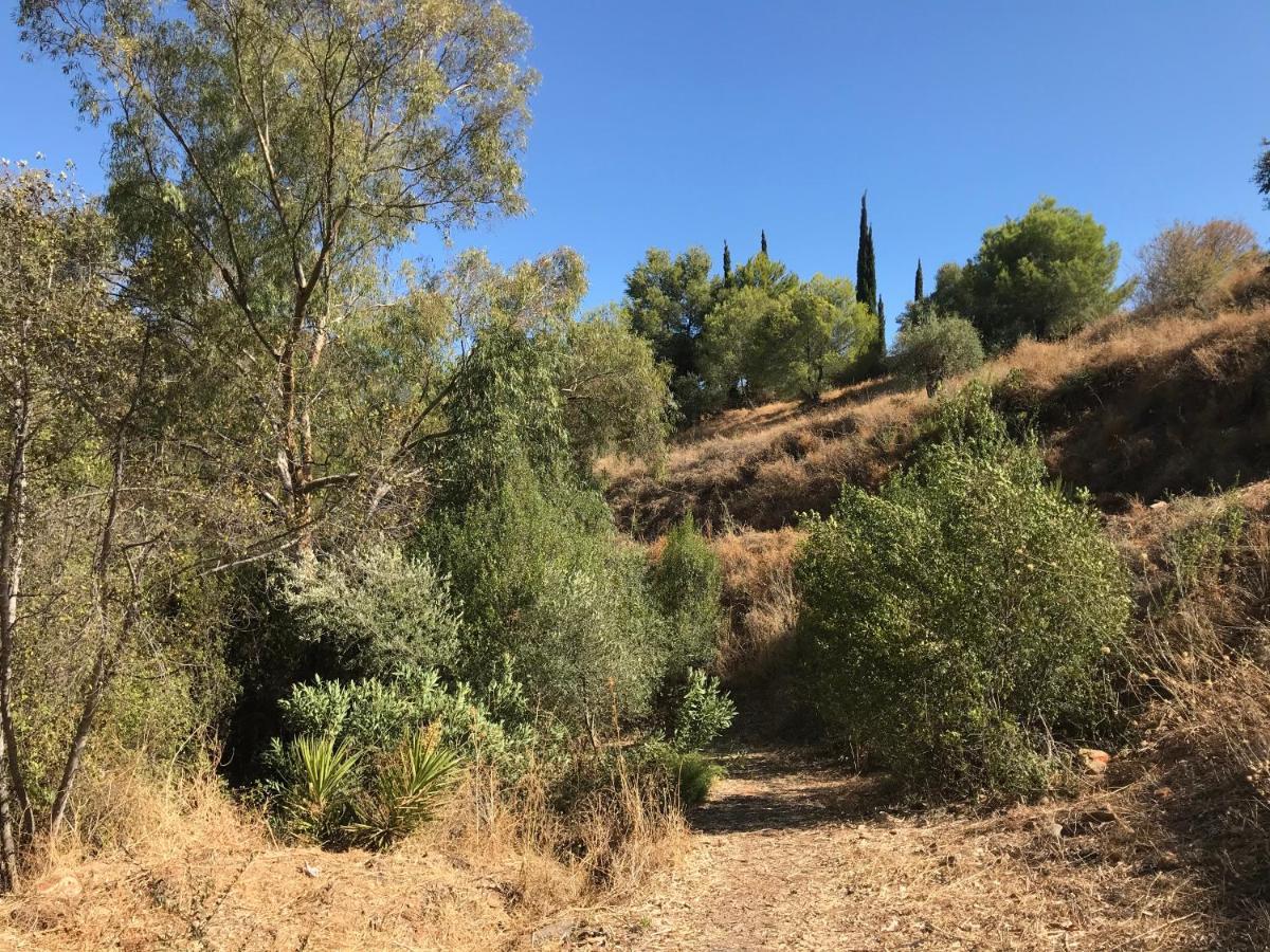 מאלגה Studio Views Apartment, Cortijo Fruitful Hills מראה חיצוני תמונה