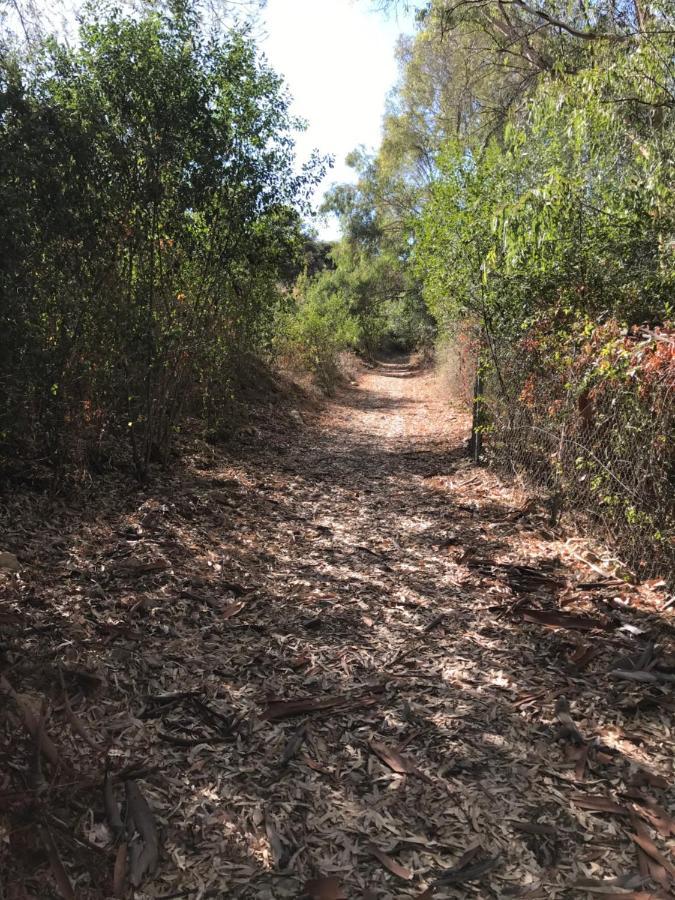 מאלגה Studio Views Apartment, Cortijo Fruitful Hills מראה חיצוני תמונה