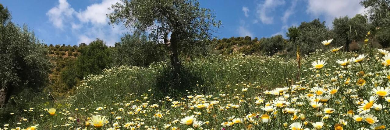 מאלגה Studio Views Apartment, Cortijo Fruitful Hills מראה חיצוני תמונה