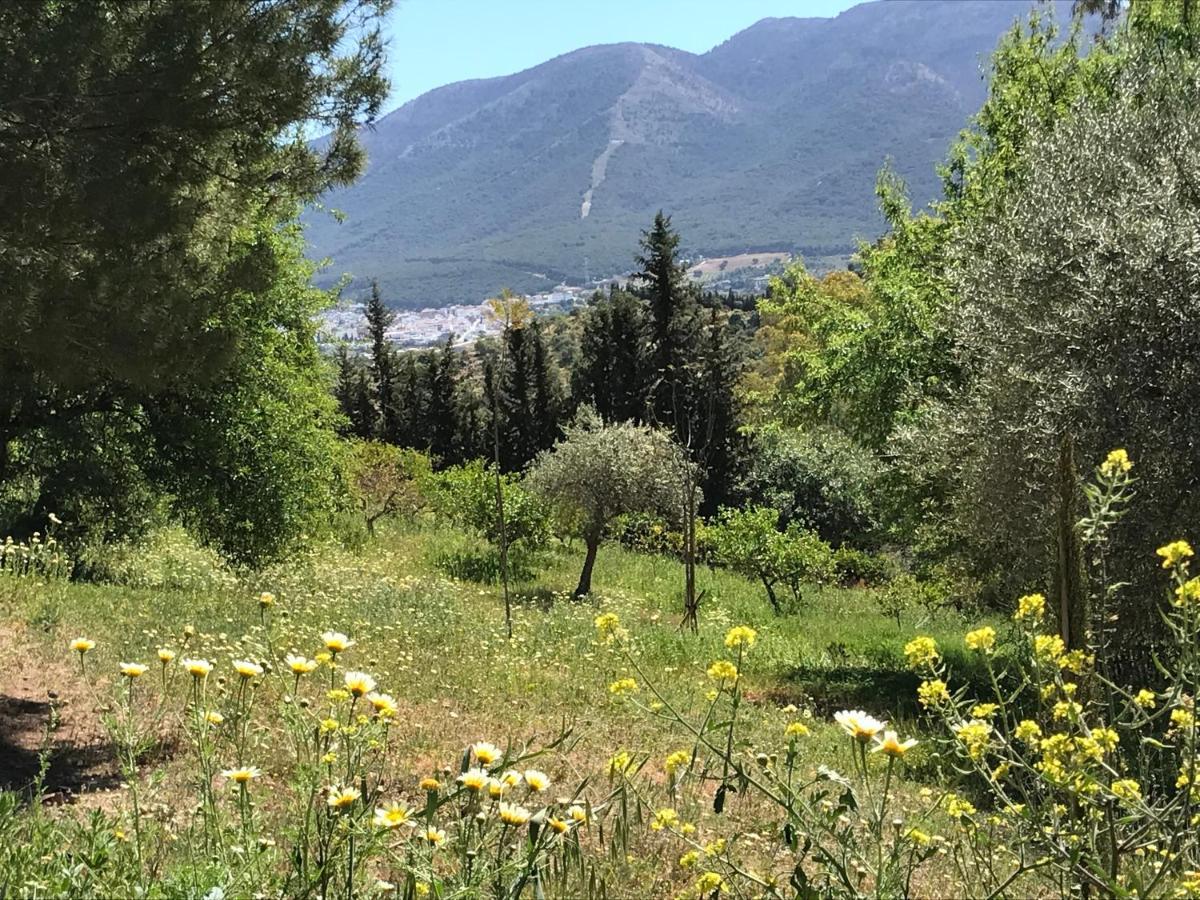 מאלגה Studio Views Apartment, Cortijo Fruitful Hills מראה חיצוני תמונה