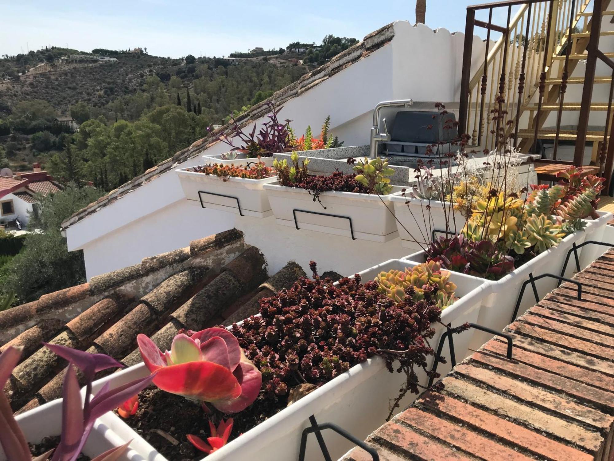 מאלגה Studio Views Apartment, Cortijo Fruitful Hills מראה חיצוני תמונה