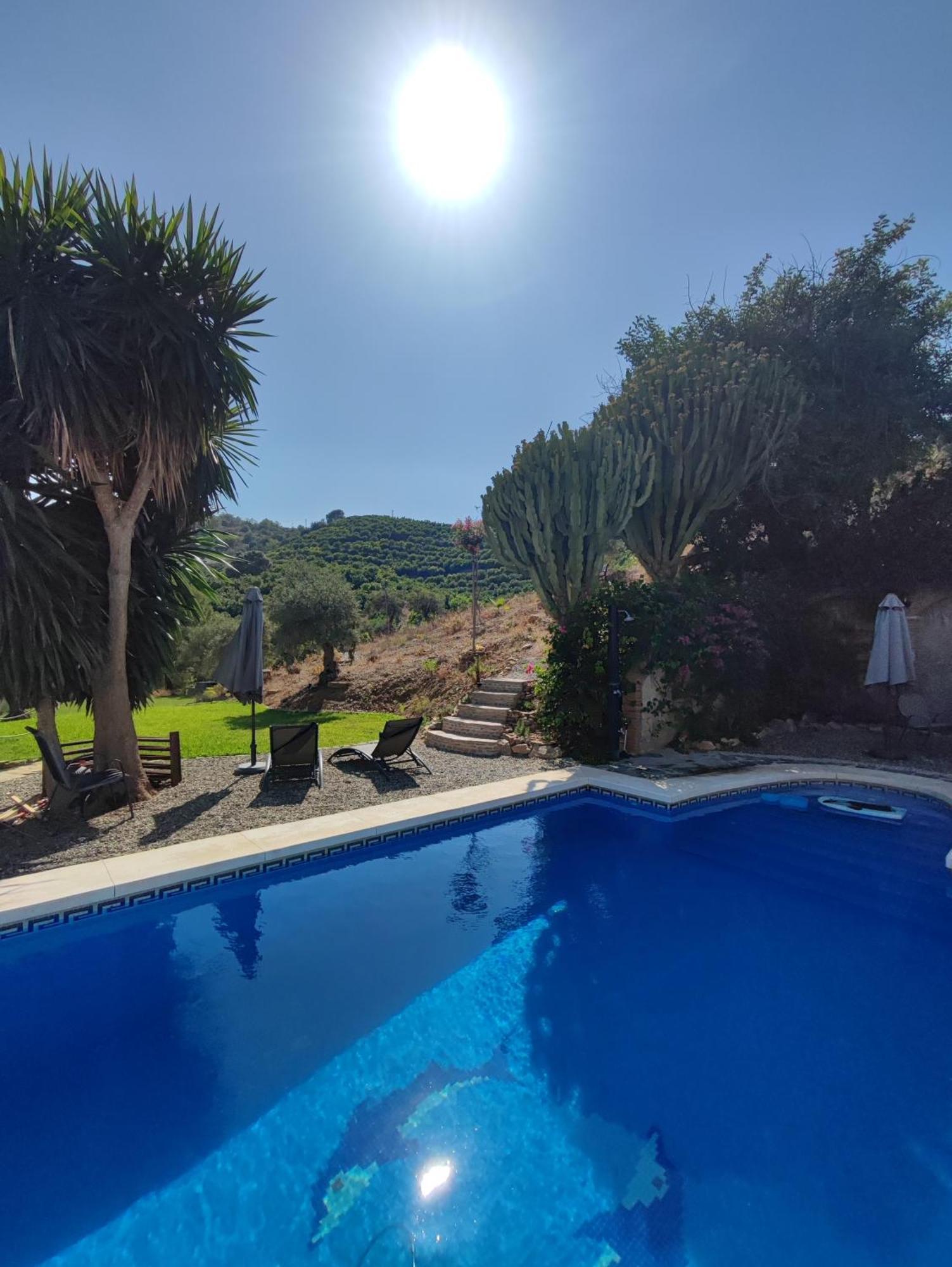 מאלגה Studio Views Apartment, Cortijo Fruitful Hills מראה חיצוני תמונה